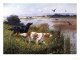 Duck Rising Reproduction procédé giclée par Eugene Petit