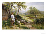 Spring Lambs Reproduction procédé giclée par Ernest Walbourn