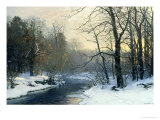 The Woods in Silver and Gold Giclee Print by Anders Andersen-Lundby