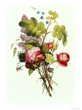 Bouquet of Rose, Lilac and Auricula reproduction procédé giclée par Jean Louis Prevost