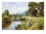 Poppies on the Riverbank Giclee Print by Ernest Walbourn