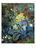 Still Life of Polyanthus and Butterfly Giclee Print by Mary Margetts
