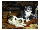 Kittens at Play Giclee Print by Charles Van Den Eycken
