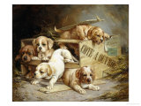 Tumbling Retriever Puppies Giclee Print by Frederico Olaria