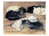 Gatinhos Impressão giclée por Henriette Ronner-Knip Gatinhos Impressão giclée por Henriette Ronner-Knip