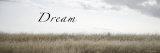 Dream Meadow Poster von Nicole Katano