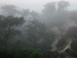 Canyon Mist II Prints by Nicole Katano