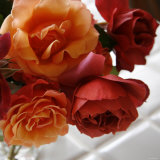 Rose Bouquet III Posters by Nicole Katano