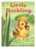 Little Duckling Photographic Print