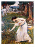 Gathering Rosebuds reproduction procédé giclée par John William Waterhouse