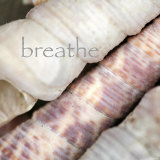Breathe Plakater af Nicole Katano