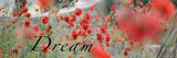 Dream Flowers II Posters by Nicole Katano