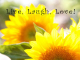 Live Laugh Love: Sunflower Affiches par Nicole Katano