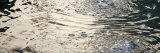 Water Drops II Prints by Nicole Katano