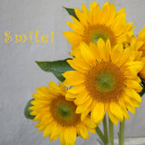 Smile: Sunflower Bouquet Posters af Nicole Katano