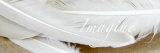 Imagine: White Feathers Kunstdrucke von Nicole Katano