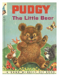 Pudgy Little Bear Photographie