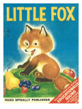 Little Fox Photographic Print