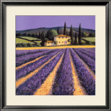 Colors of Summer Poster by David Short