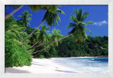 Isla Mahe, Seychelles Póster por José Fuste Raga