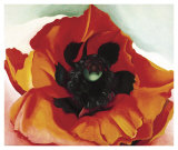 Coquelicot Art par Georgia O'Keeffe