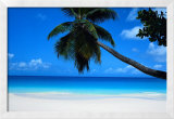 Seychellen Kunstdrucke von Mark Karrass