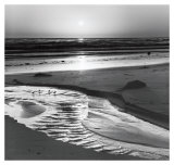 Birds on a Beach Art by Ansel Adams