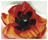 Poppy Prints by Georgia O'Keeffe Poppy Prints by Georgia O'Keeffe