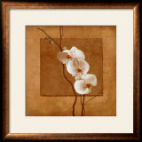 Golden Orchid I Posters by Lee Carlson