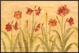 Hilera de amarilis rojos (Row of Red Amaryllis) Framed Canvas Transfer por Cheri Blum Hilera de amarilis rojos (Row of Red Amaryllis) Framed Canvas Transfer por Cheri Blum