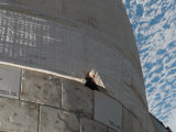 Space Shuttle Atlantis' Port Side Orbital Maneuvering System Pod Prior to Repair, June 15, 2007 Lámina fotográfica por Stocktrek Images Space Shuttle Atlantis' Port Side Orbital Maneuvering System Pod Prior to Repair, June 15, 2007 Lámina fotográfica por Stocktrek Images