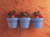 Mediterranean Pots Poster by Anne Geddes