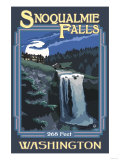 Snoqualmie Falls by Night, Washington Photo