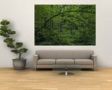 A Lush Green Eastern Woodland View Mural A Lush Green Eastern Woodland View Mural