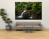 Two Small Waterfalls Flow into Fresh Water Pond in a Rain Forest Wall Mural by Todd Gipstein