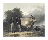 Four Men With A Bull Edition limitée par Richard Ansdell