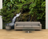 Two Small Waterfalls Flow into Fresh Water Pond in a Rain Forest Wall Mural – Large by Todd Gipstein