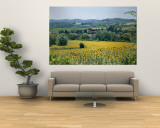 Richard Nowitz - Field of Sunflowers Nástěnný výjev Richard Nowitz - Field of Sunflowers Nástěnný výjev