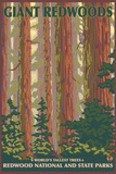 Giant Redwoods, Redwood National Park, California Affiches