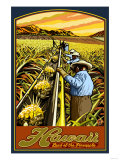 Hawaiian Pineapple Harvest Affiches