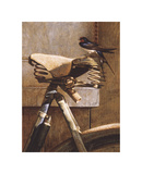 Swallow On Bicycle Edición limitada por Peter Munro