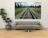 Alaska Railroad Tracks Lined on Either Side by Pink Fireweed Reproduction murale géante par Rich Reid