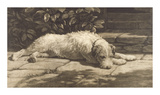 The Terrier Limited Edition by Herbert Dicksee