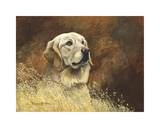 Golden Labrador Premium Giclee Print by Richard Britton