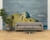 A Polar Bear Cub Rests Comfortably Atop the Back of His Mother Wall Mural – Large by Norbert Rosing
