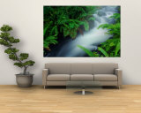 Stream in Topiary Garden in Front of the Town Church, Zarcero, Costa Rica Wall Mural by Alfredo Maiquez