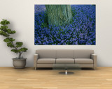 The Base of a Tree Trunk is Surrounded by Lavender Muscari Inside the Keukenhof Flower Park Wall Mural