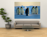 Emperor Penguins on the Frozen Southern Ocean Wandgemälde von Maria Stenzel