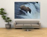 A Young Grizzly Bear (Ursus Arctos Horribilis) Wades Down a Waterfall Wall Mural