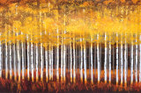 Golden Aspens Stretched Canvas Mount by Robert Holman